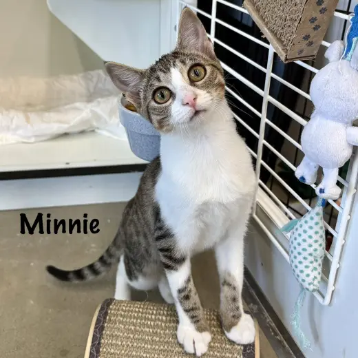 Minnie