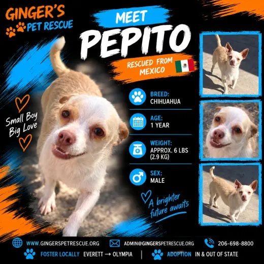 Pepito from Mexico