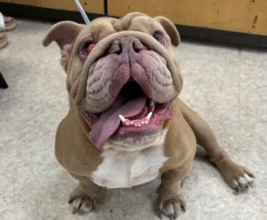OTIS