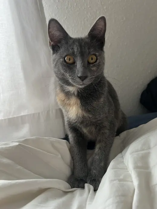 Smidge =^.^=