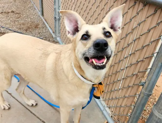 NALA