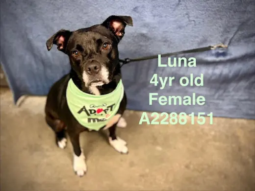 LUNA
