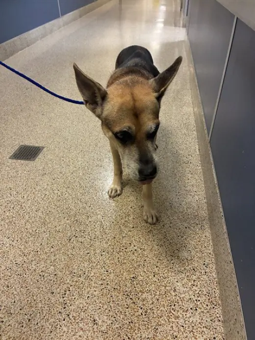 LARRY