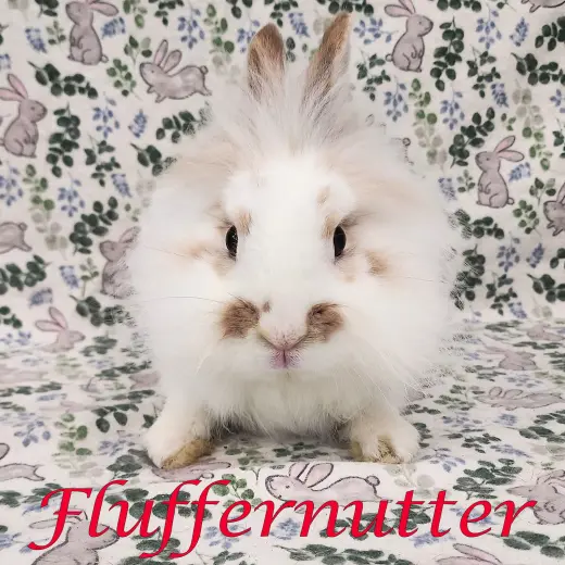 Fluffernutter