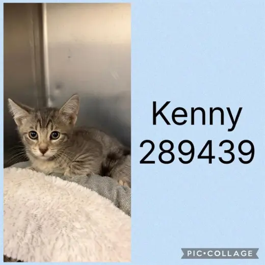 KENNY