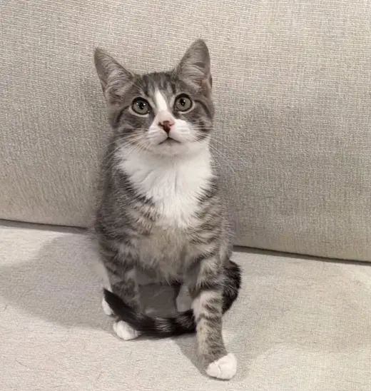 Terrance
