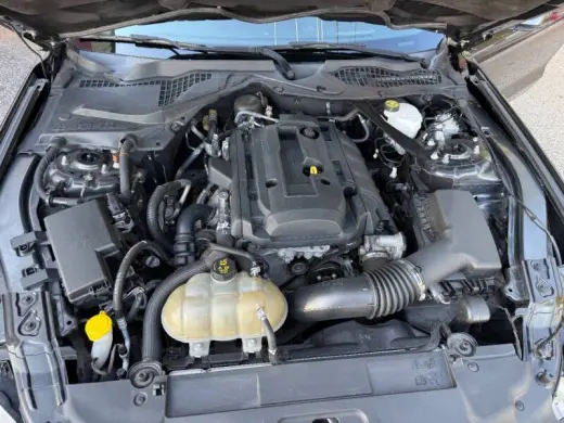 Ford Mustang 2019
