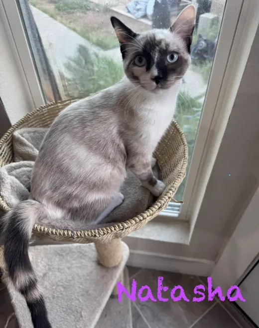 Natahsa BONDED with Wanda