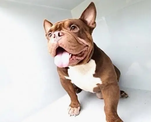 FRANKLIN