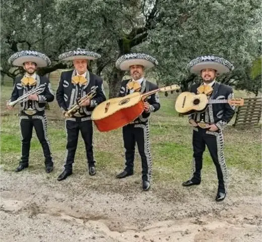 MARIACHI MI TIERRA $255.