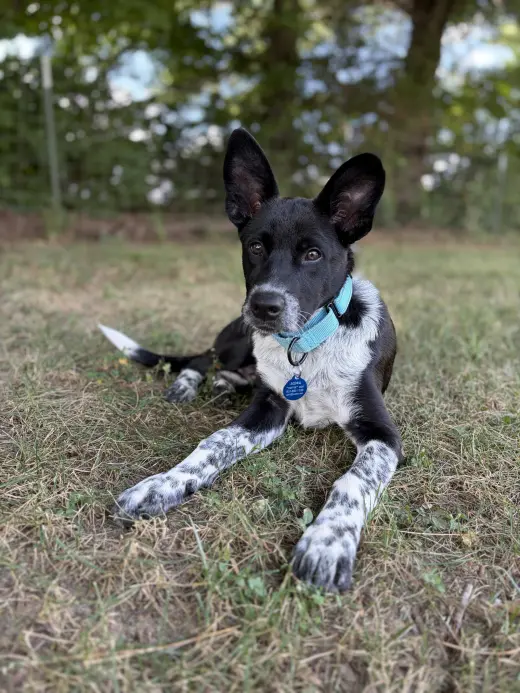 Sam