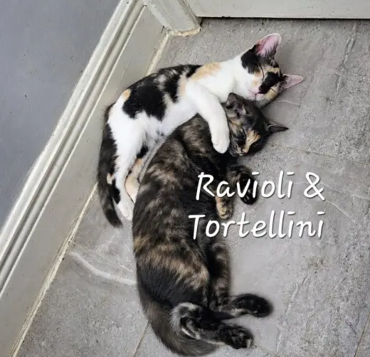 Tortellini & Ravioli #Italian-pair