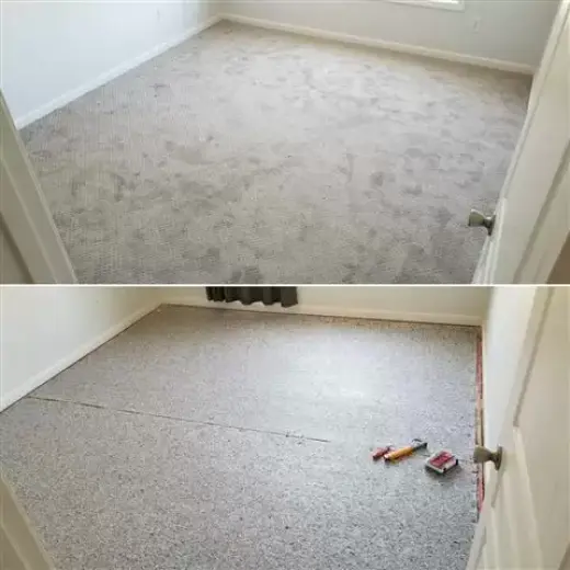 Carpet & Floors