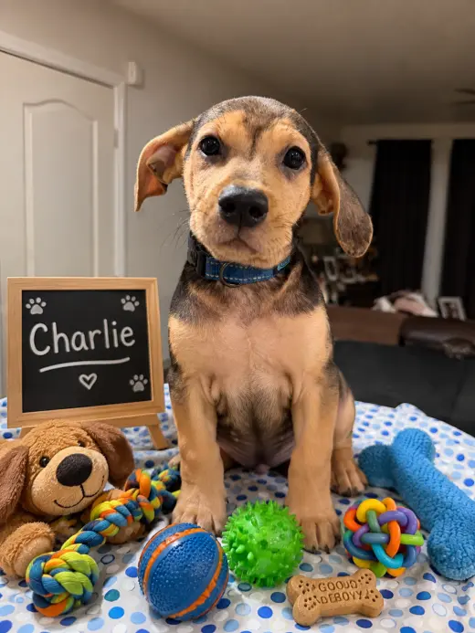 Charlie