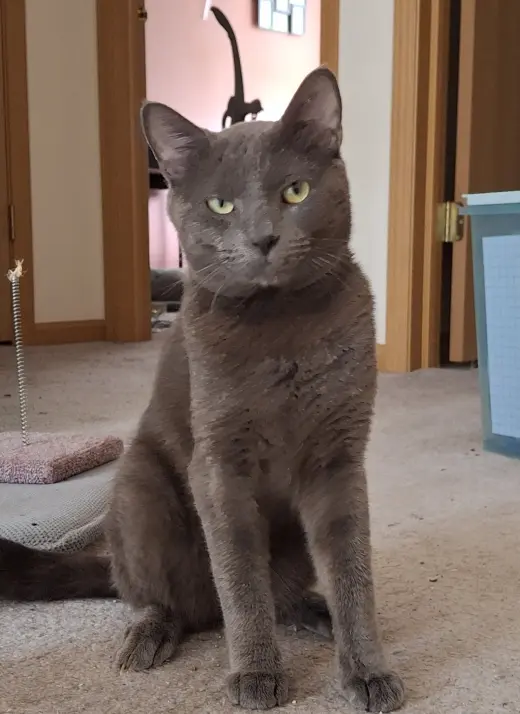 Sebastian