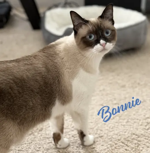 Bonnie #blue-eyes