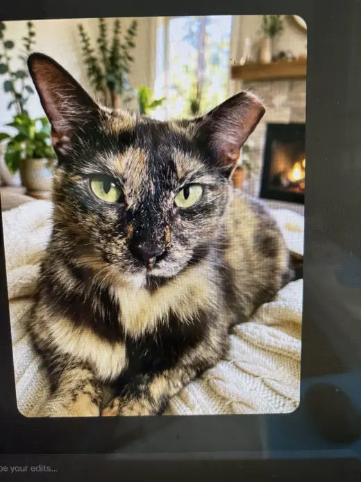 KITTY MALIBU