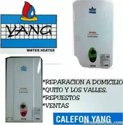 TECNICO DE CALEFONES