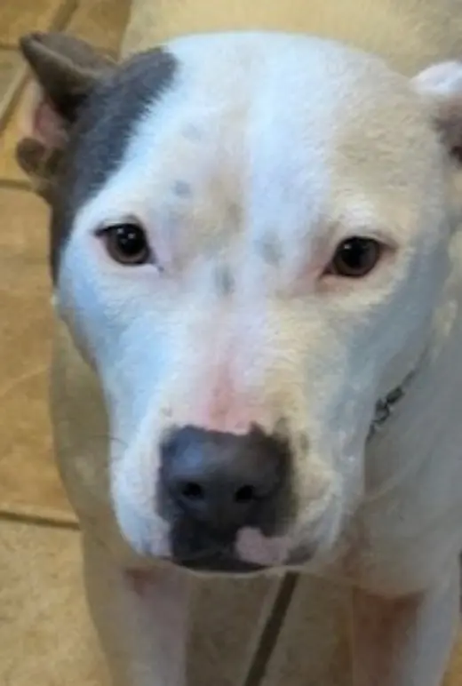 Freya *Cross Post*
