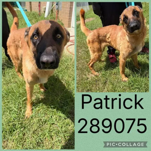 PATRICK