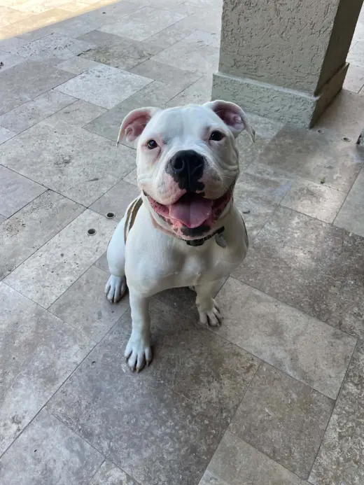 Axel