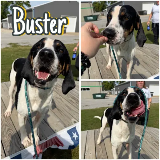 Buster
