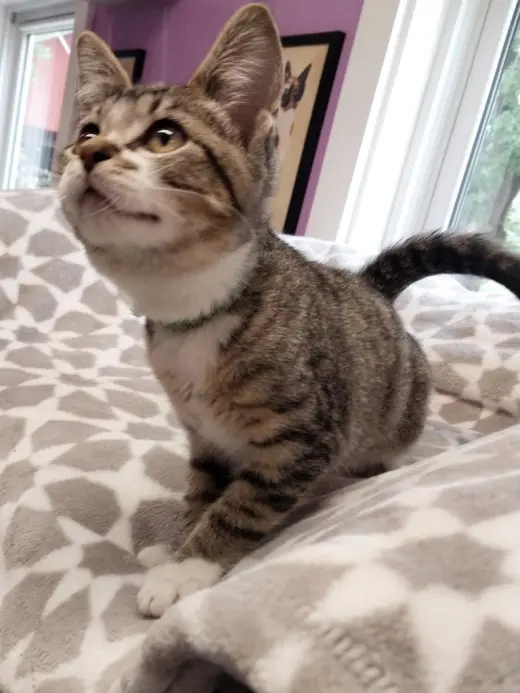 Rey * IN FOSTER *