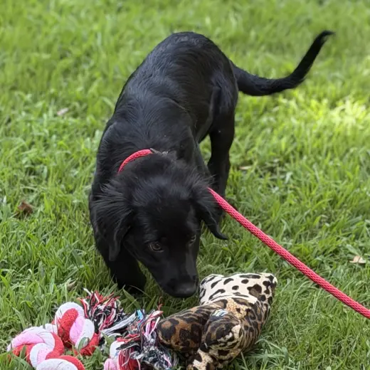 TUCKER