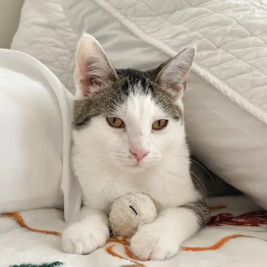 Boo!