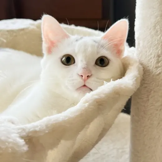 Eek!