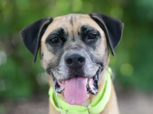 JACK