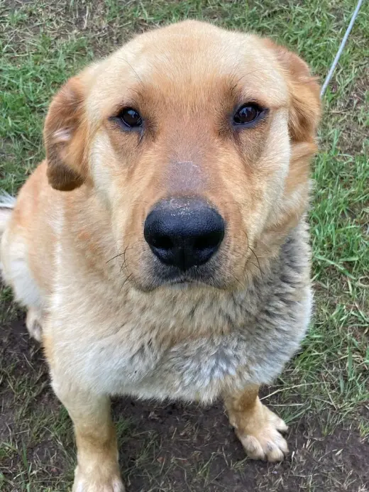 Lenny