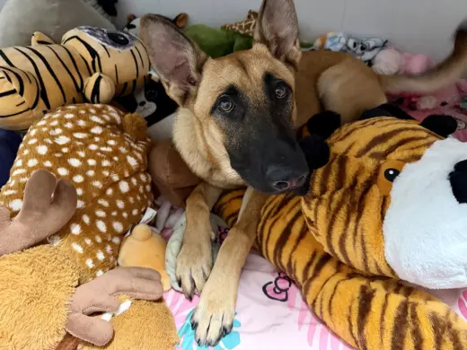 Mimi - Located in FL