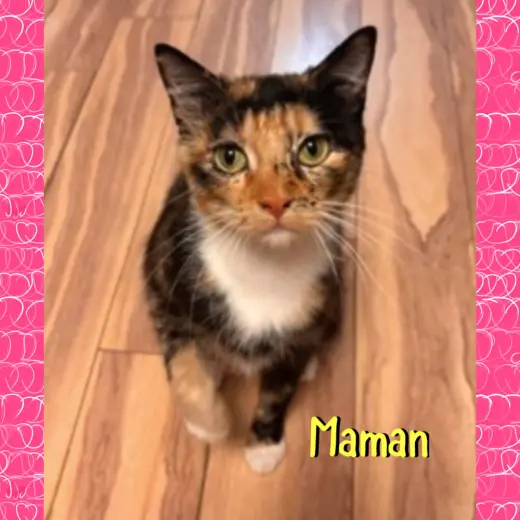 Maman