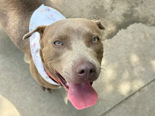 FIONA