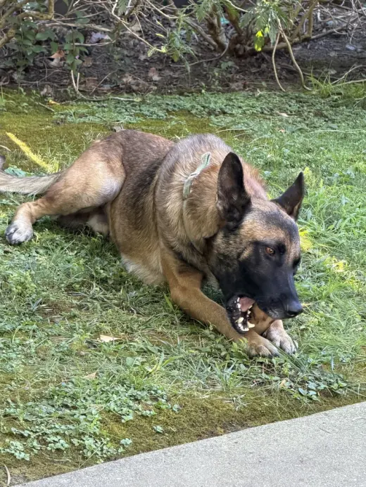 Jett- Located in California