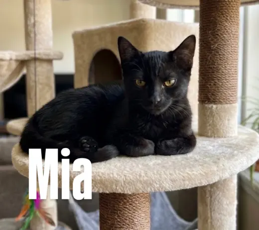 Mia