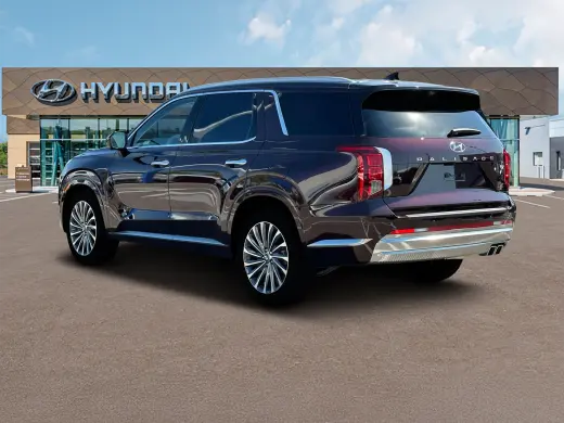 Hyundai PALISADE 2024 AWD Calligraphy 4dr SUV