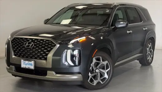 Hyundai PALISADE 2022 AWD Calligraphy 4dr SUV