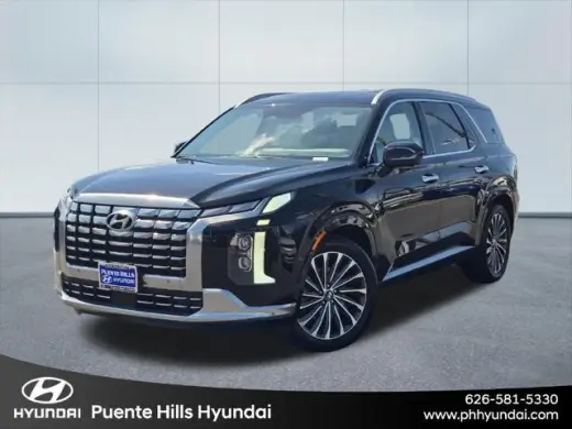 Hyundai PALISADE 2023 Calligraphy 4dr SUV
