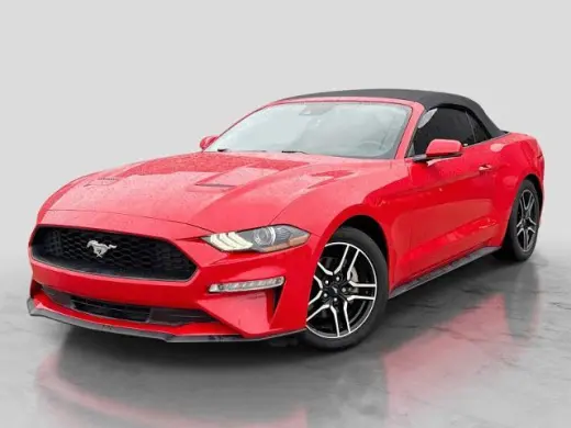 Ford Mustang 2019 EcoBoost Premium 2dr Convertible