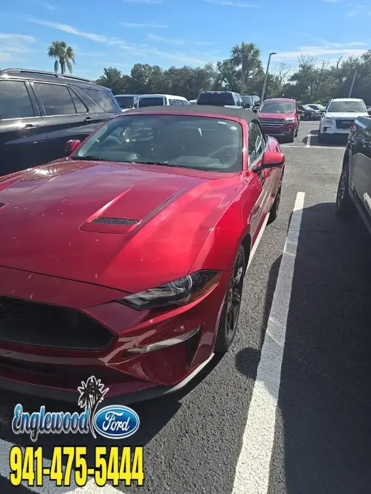 Ford Mustang 2019 EcoBoost Premium 2dr Convertible