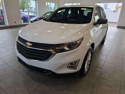 Chevrolet Equinox 2019 LS 4dr SUV con 1LS