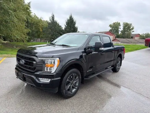 Ford F-150 2023 4x4 XLT 4dr SuperCrew 5.5 ft. SB