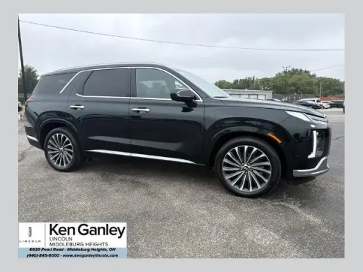 Hyundai PALISADE 2024 AWD Calligraphy 4p SUV