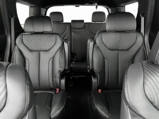 Hyundai PALISADE 2024 AWD Calligraphy 4dr SUV