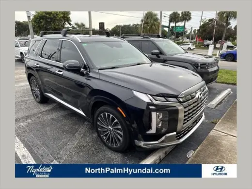 Hyundai PALISADE 2023 Calligraphy 4dr SUV