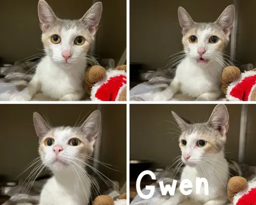 Gwen- retired momma