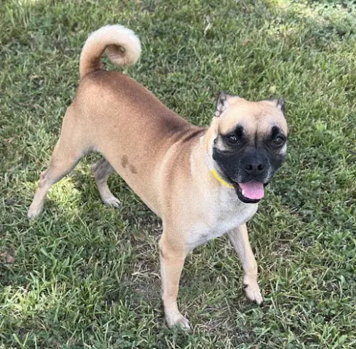 Chloe