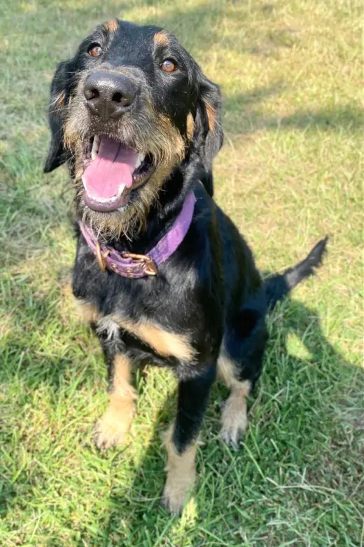 Bella
